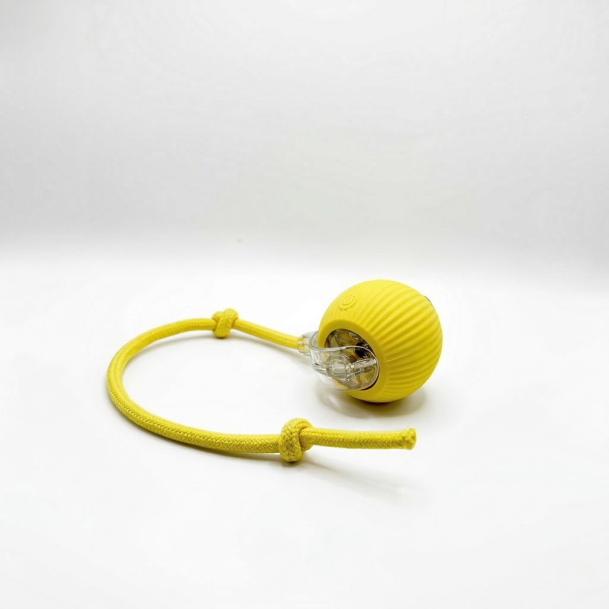 SmartHunt – Självgående kattleksaken som katten kan starta själv