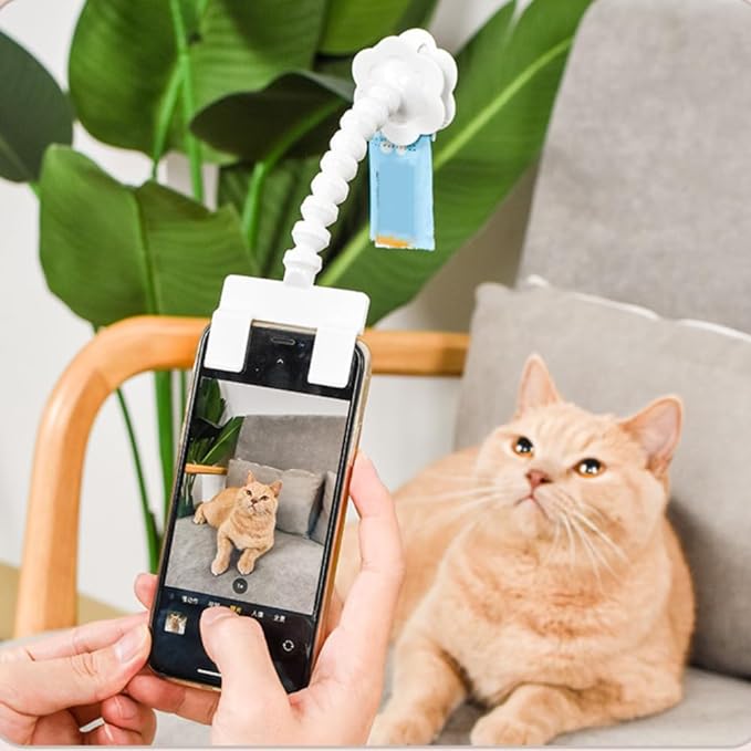 Snapcat - Roliga bilder på katten