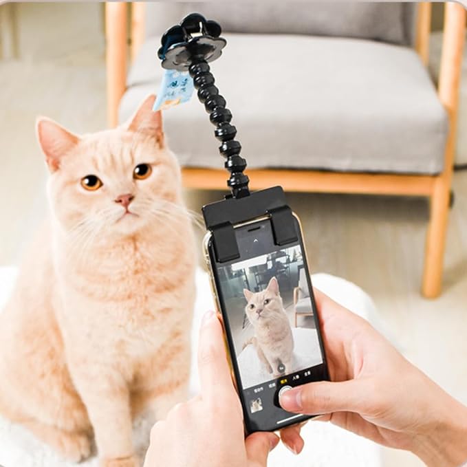 Snapcat - Roliga bilder på katten