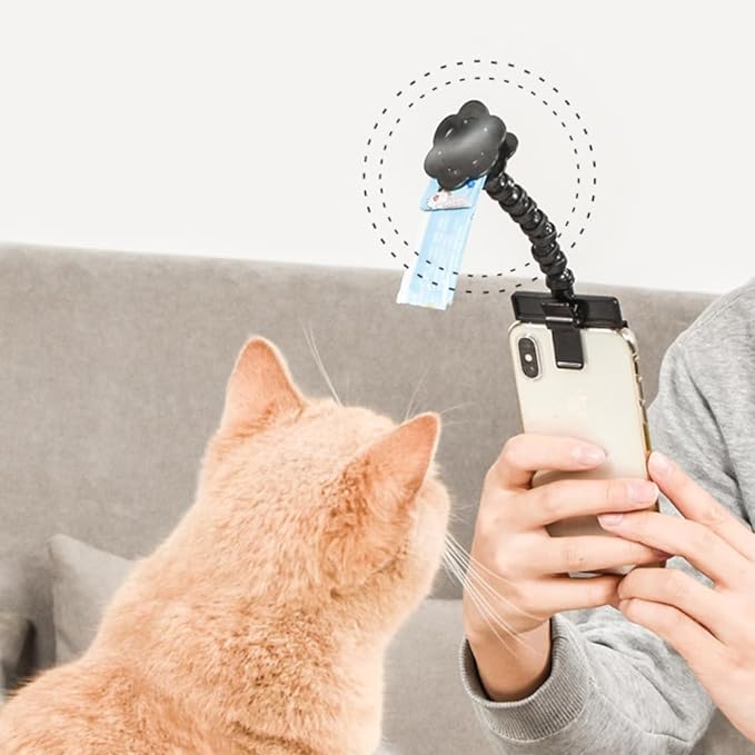 Snapcat - Roliga bilder på katten