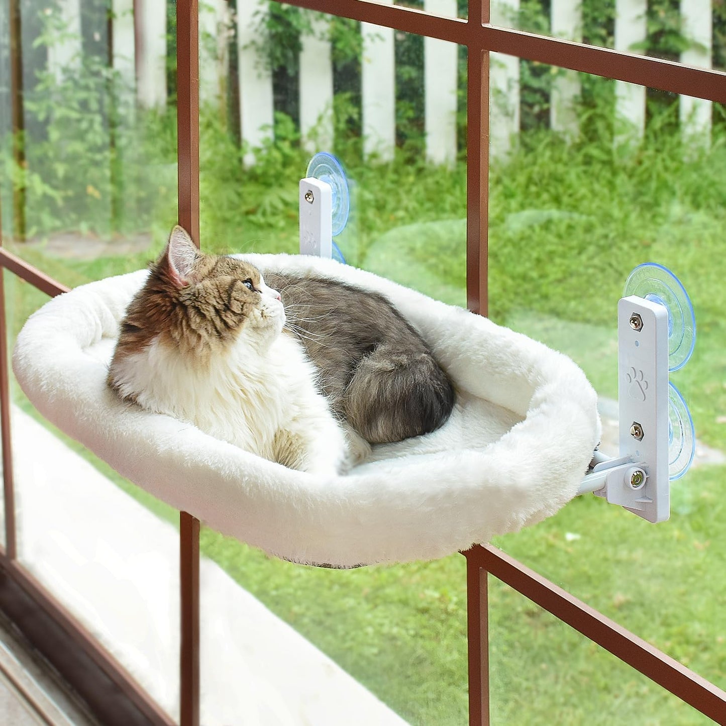 CozyView