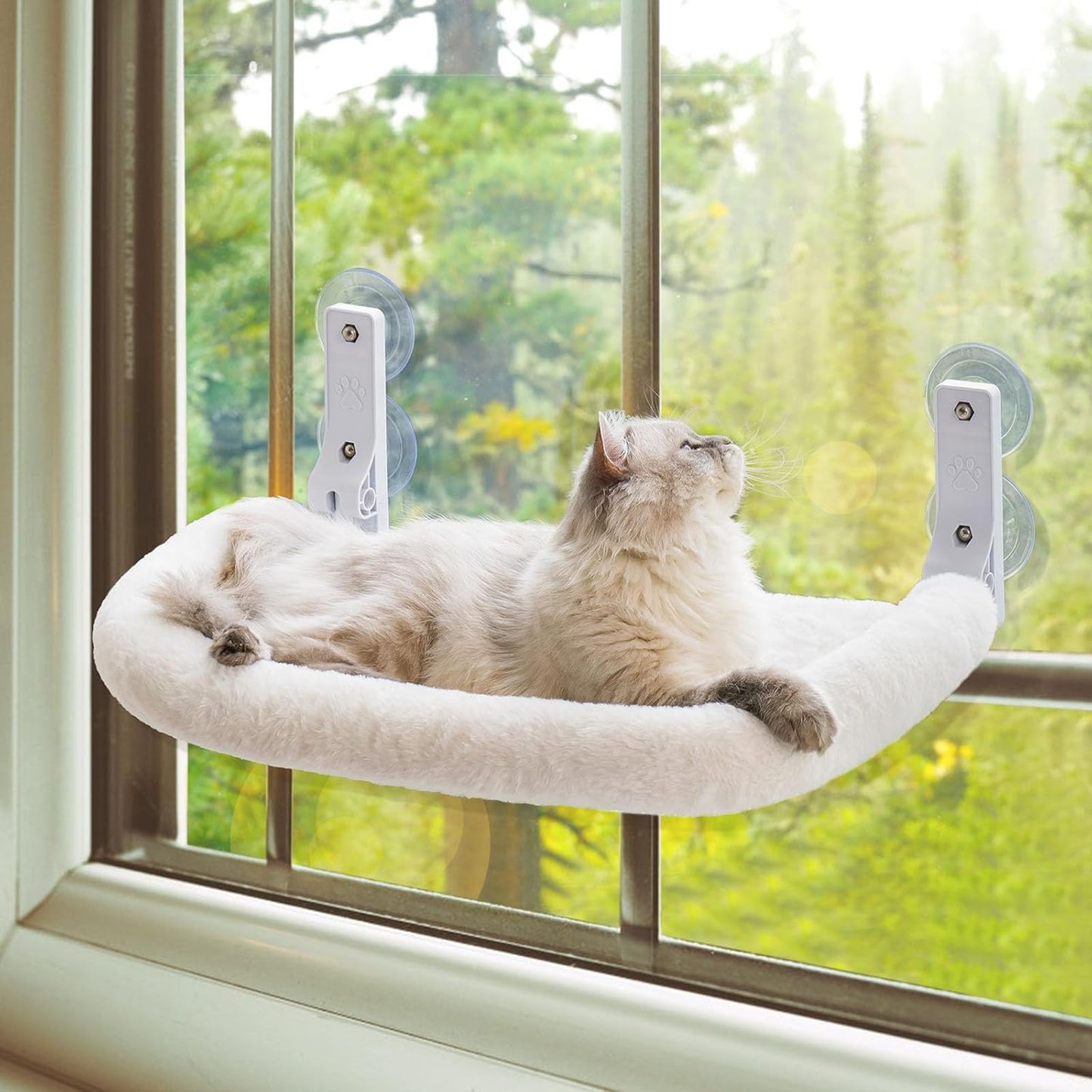 CozyView