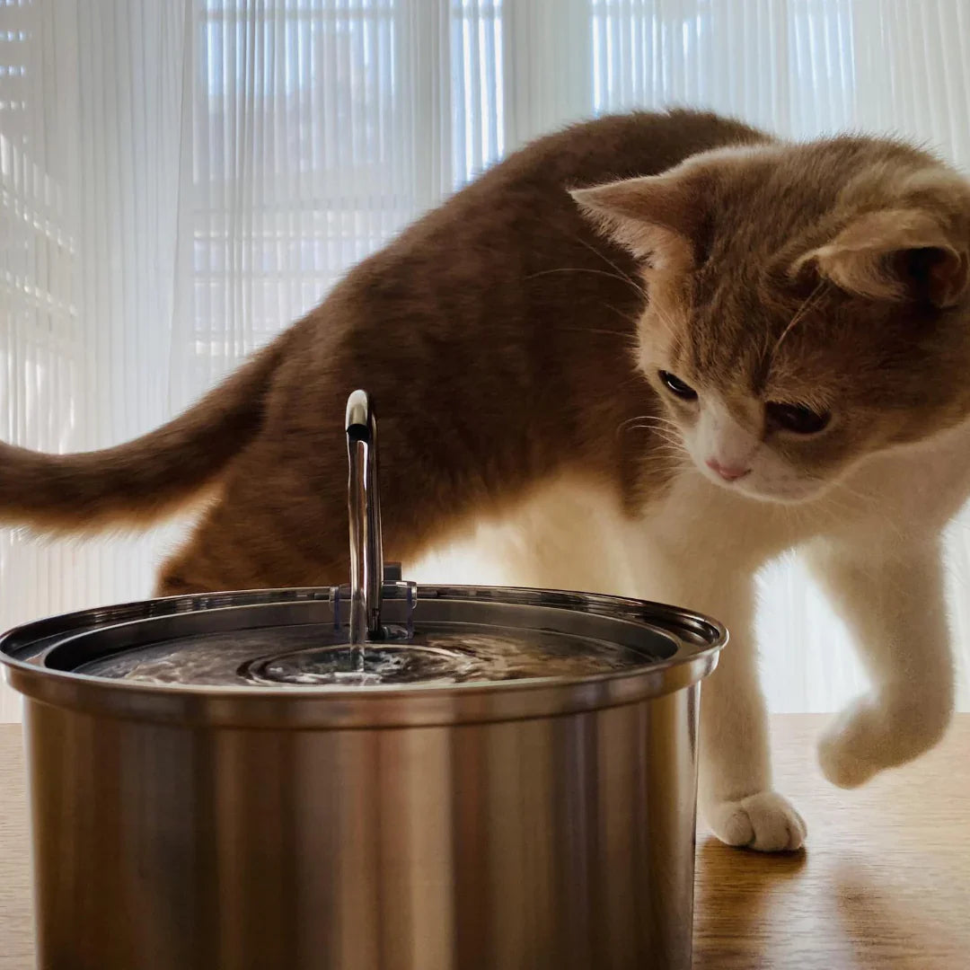 Aquadrink - Marknadens bästa katt vattenfontän