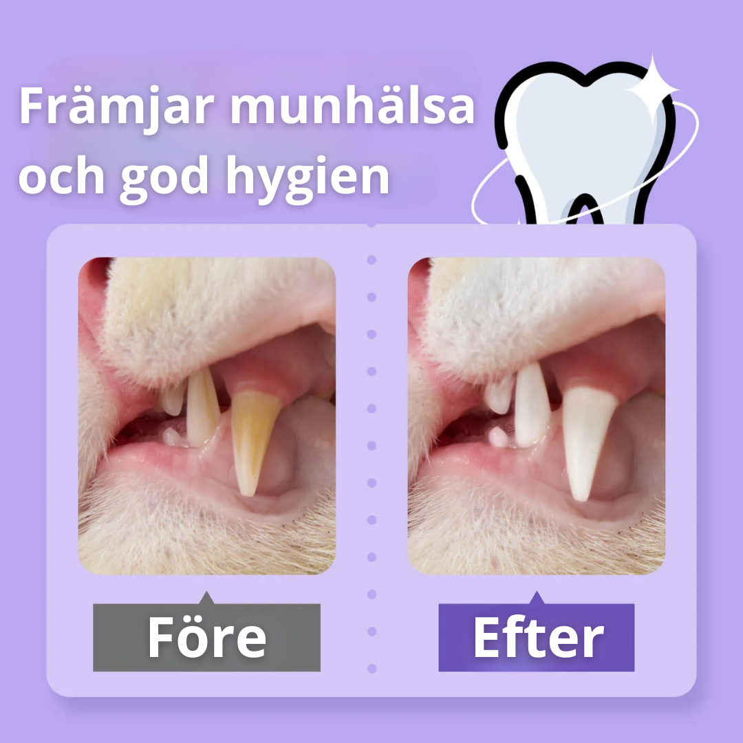 Smilegood - Håll din katts tänder rena säkert utan tandborstning