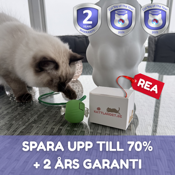 SmartHunt – Smart, självgående och blev årets kattleksak 2024