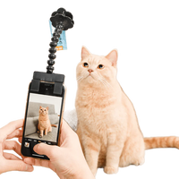 Snapcat - Roliga bilder på katten