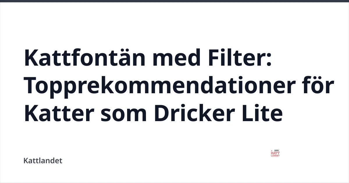 Kattfontän med Filter: Topprekommendationer för Katter som Dricker Lite — Kattlandet