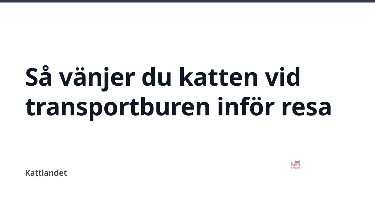 Så vänjer du katten vid transportburen inför resa — Kattlandet