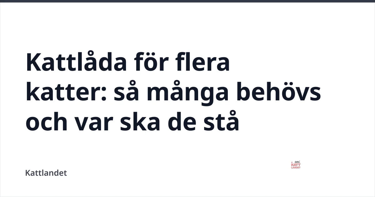 Kattlåda för flera katter: så många behövs och var ska de stå — Kattlandet