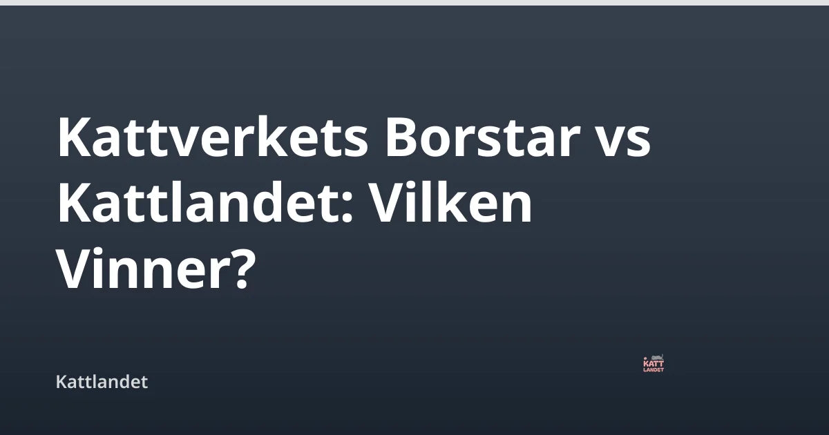 Kattverkets Borstar vs Kattlandet: Vilken Vinner? — Kattlandet