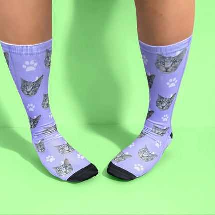 KittySocks
