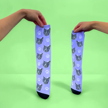 KittySocks