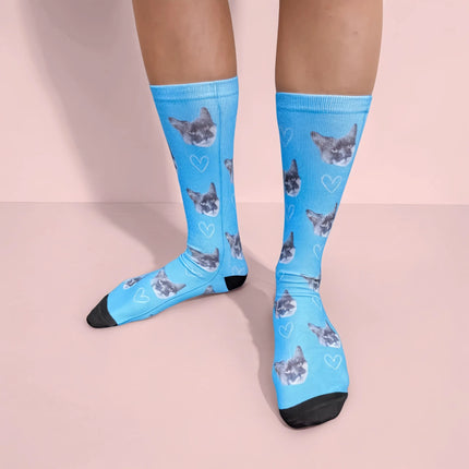 KittySocks
