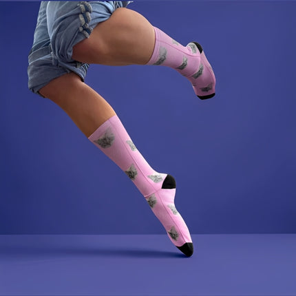 KittySocks