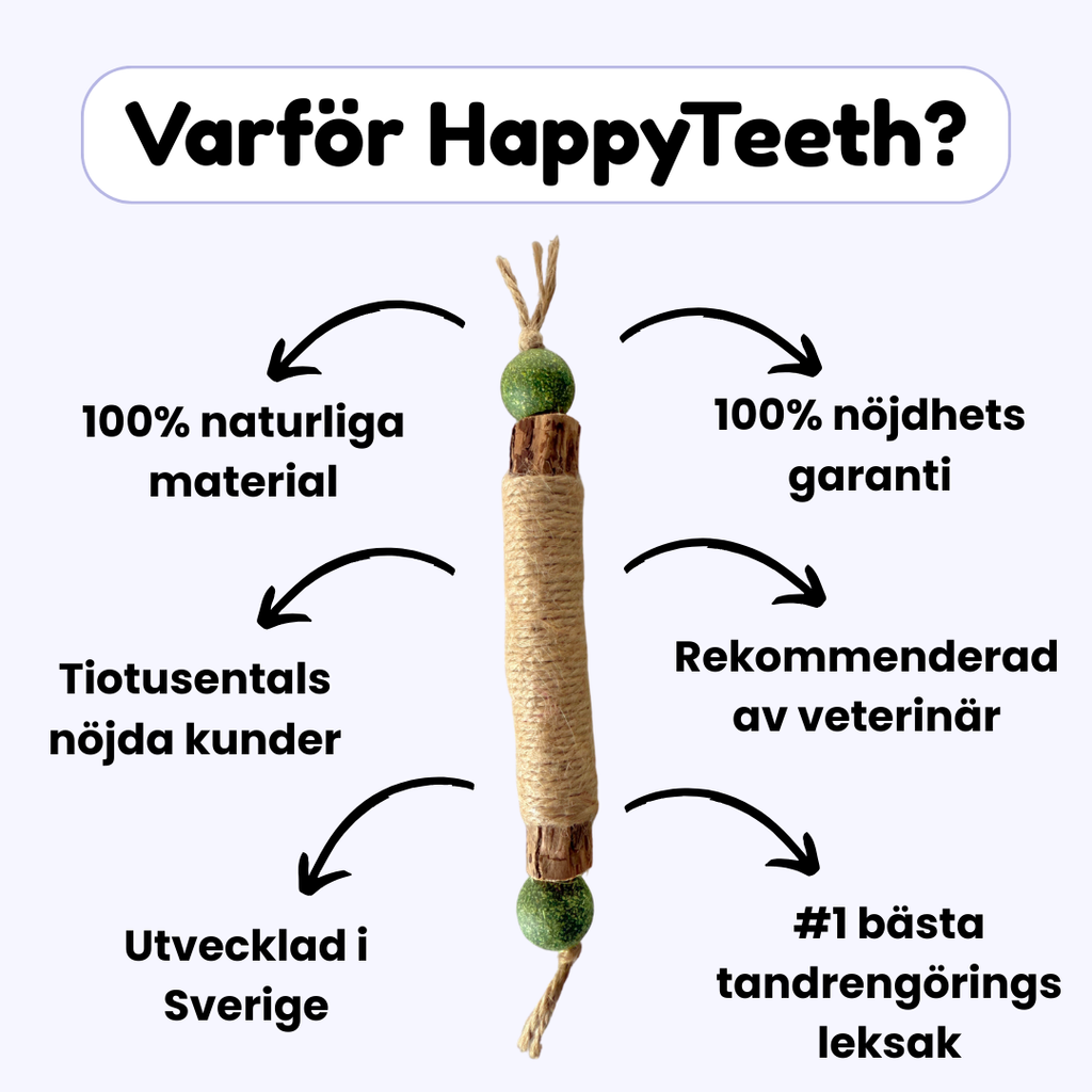 HappyTeeth - Tandrengörings-leksak med kattmynta och silvervine (4-pack)