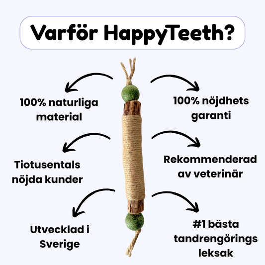 HappyTeeth™ - Rengör tänderna på sekunder med rolig lek (4-pack)