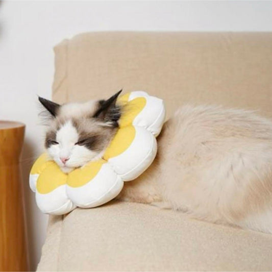 Flowerheal - Mjuk tratt för läkning