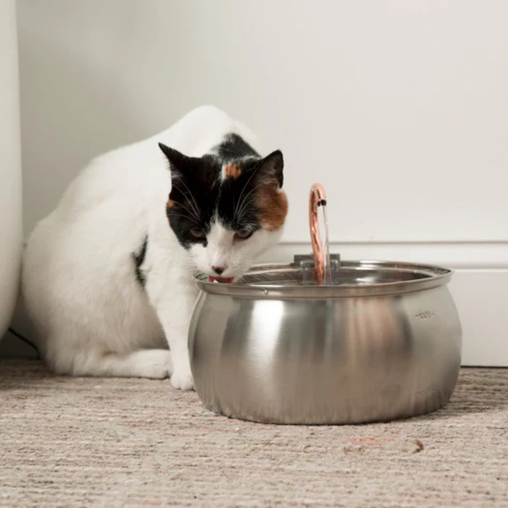 Aquadrink™ - Marknadens bästa katt vattenfontän