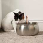 Aquadrink™ - Marknadens bästa katt vattenfontän