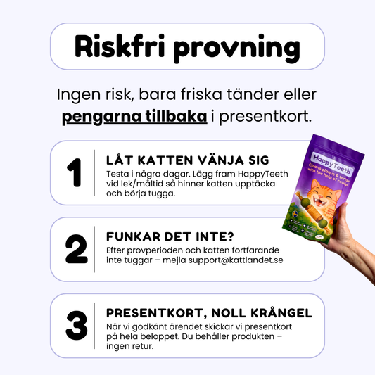 HappyTeeth - Tandrengörings-leksak med kattmynta och silvervine (4-pack)