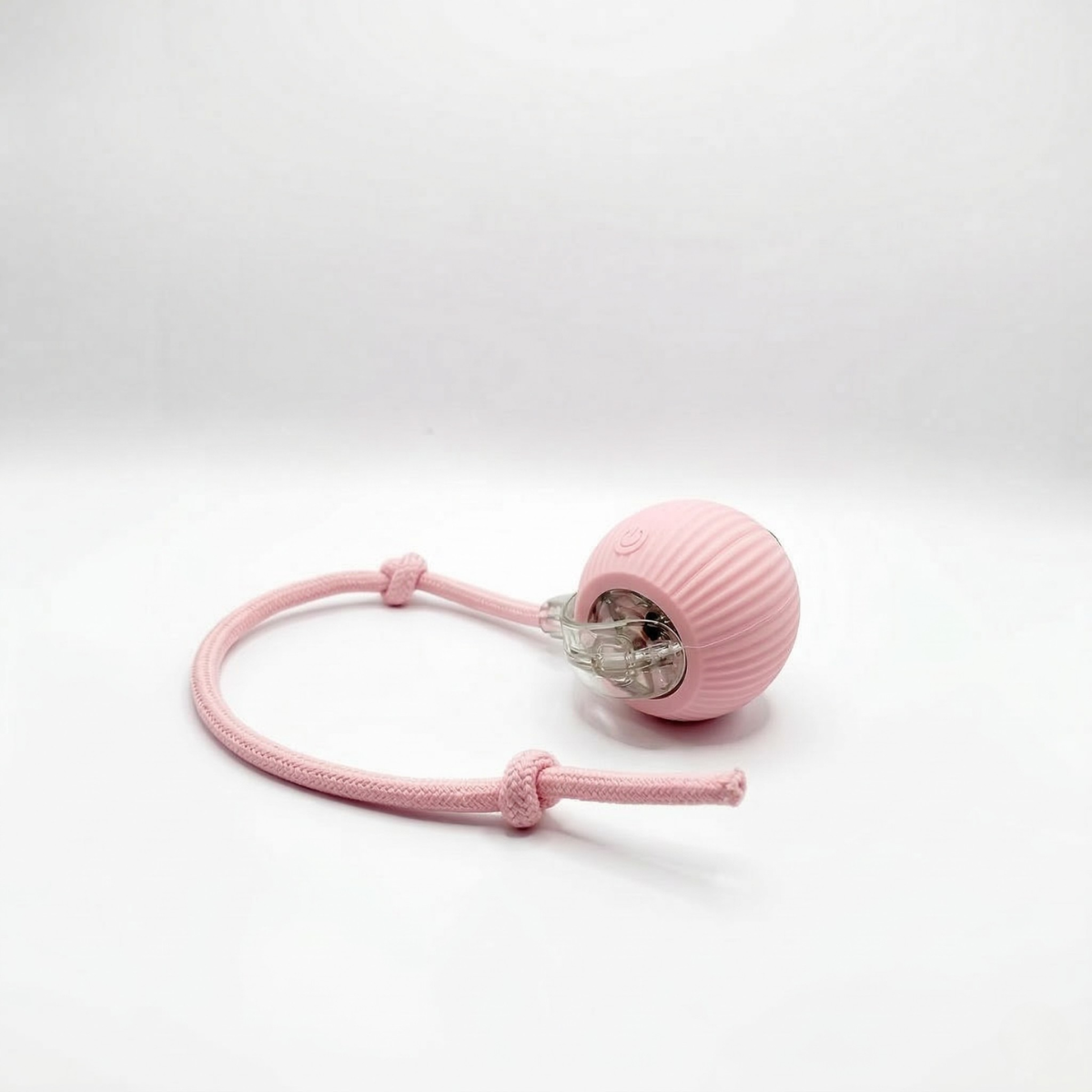 SmartHunt – Självgående kattleksaken som katten kan starta själv