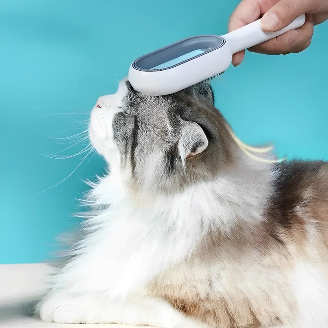 WaterBrush™ - Effektiv borste som skonsamt tar bort löst katthår