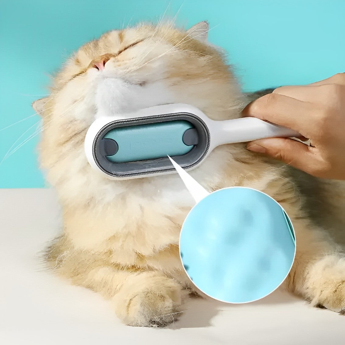 WaterBrush™ - Effektiv borste som skonsamt tar bort löst katthår