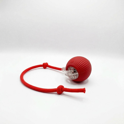 SmartHunt – Självgående kattleksaken som katten kan starta själv