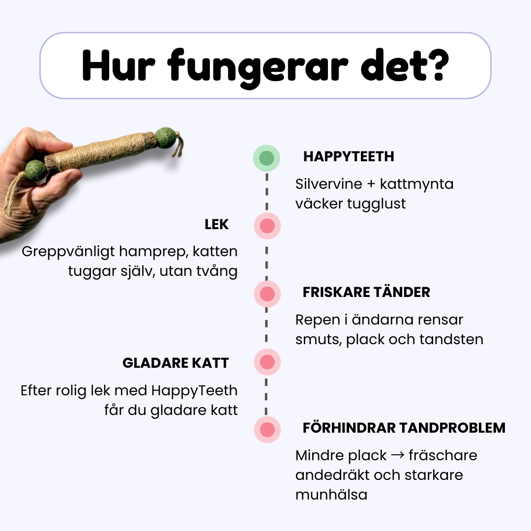 HappyTeeth - Tandrengörings-leksak med kattmynta och silvervine (4-pack)