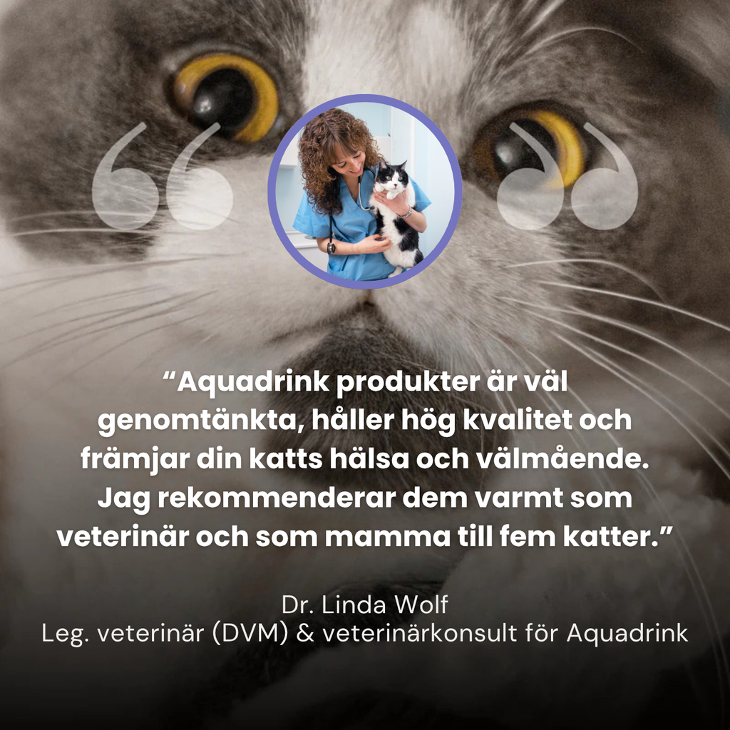 Aquadrink™ - Marknadens bästa katt vattenfontän