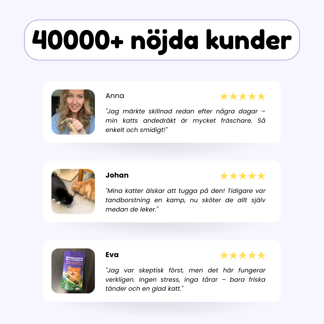 HappyTeeth - Tandrengörings-leksak med kattmynta och silvervine (4-pack)