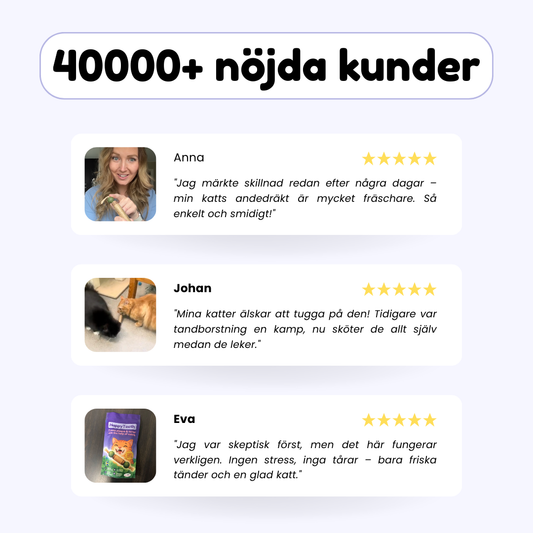 HappyTeeth - Tandrengörings-leksak med kattmynta och silvervine (4-pack)