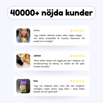 HappyTeeth™ - Rengör tänderna på sekunder med rolig lek (4-pack)