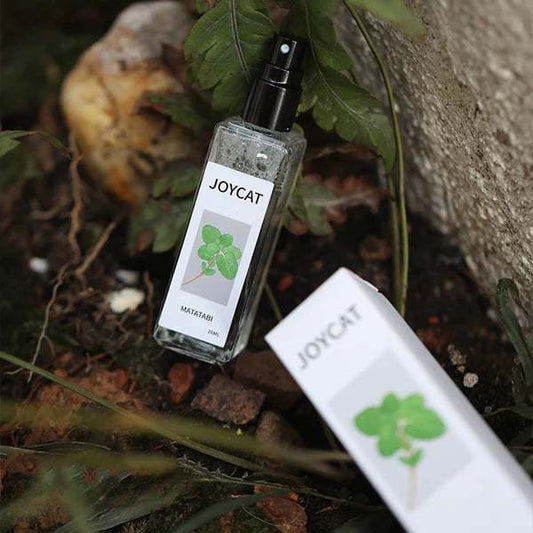 Joycat™ - Naturlig spray med doft av högkvalitativ kattmynta