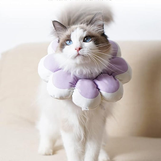 Flowerheal - Mjuk tratt för läkning