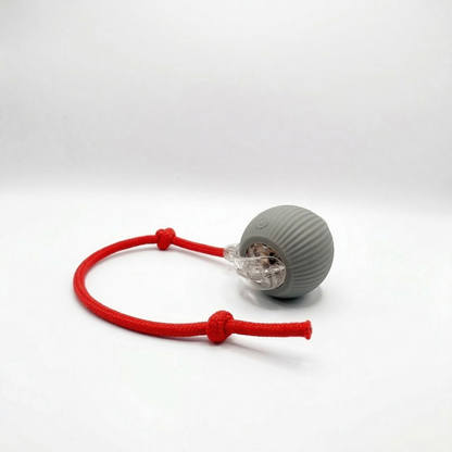 SmartHunt – Självgående kattleksaken som katten kan starta själv