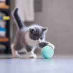 Happyball™ - Håller din katt underhållen när du inte är hemma