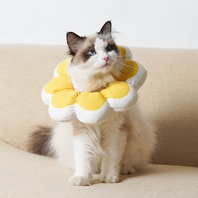 Flowerheal - Mjuk tratt för läkning