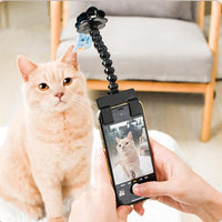Snapcat - Roliga bilder på katten