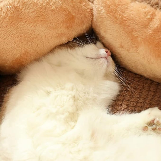 Flowerbed - Mjuk rymlig kattsäng