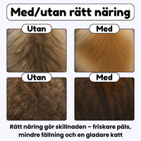 Happycream - God kräm som stärker hälsan och minskar fällning