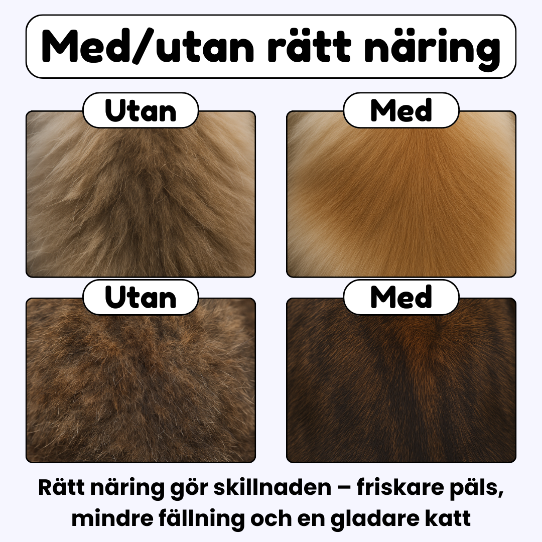 Happycream™ - God kräm som stärker hälsan och minskar fällning