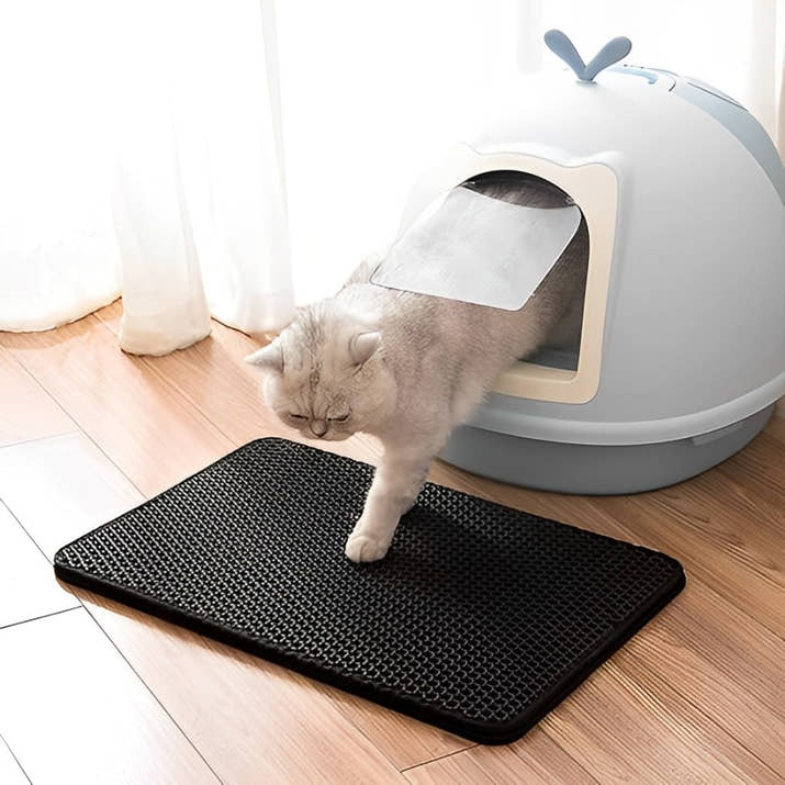 Cleary - Matta som samlar upp kattsanden utanför kattlådan