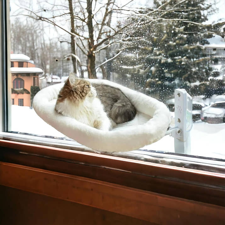 CozyView