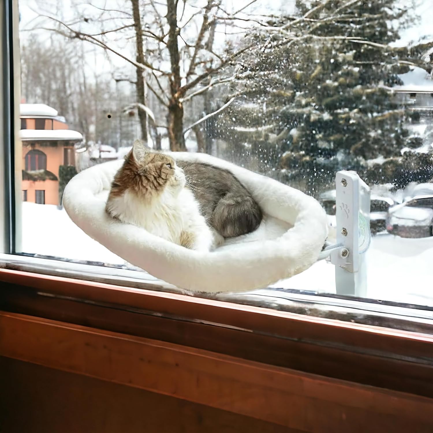 CozyView