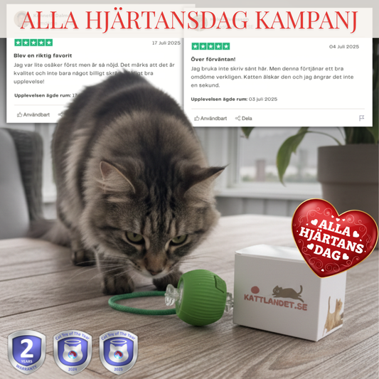 SmartHunt – Självgående kattleksaken som katten kan starta själv