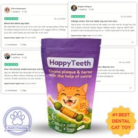 HappyTeeth - Tandrengörings-leksak med kattmynta och silvervine (4-pack)