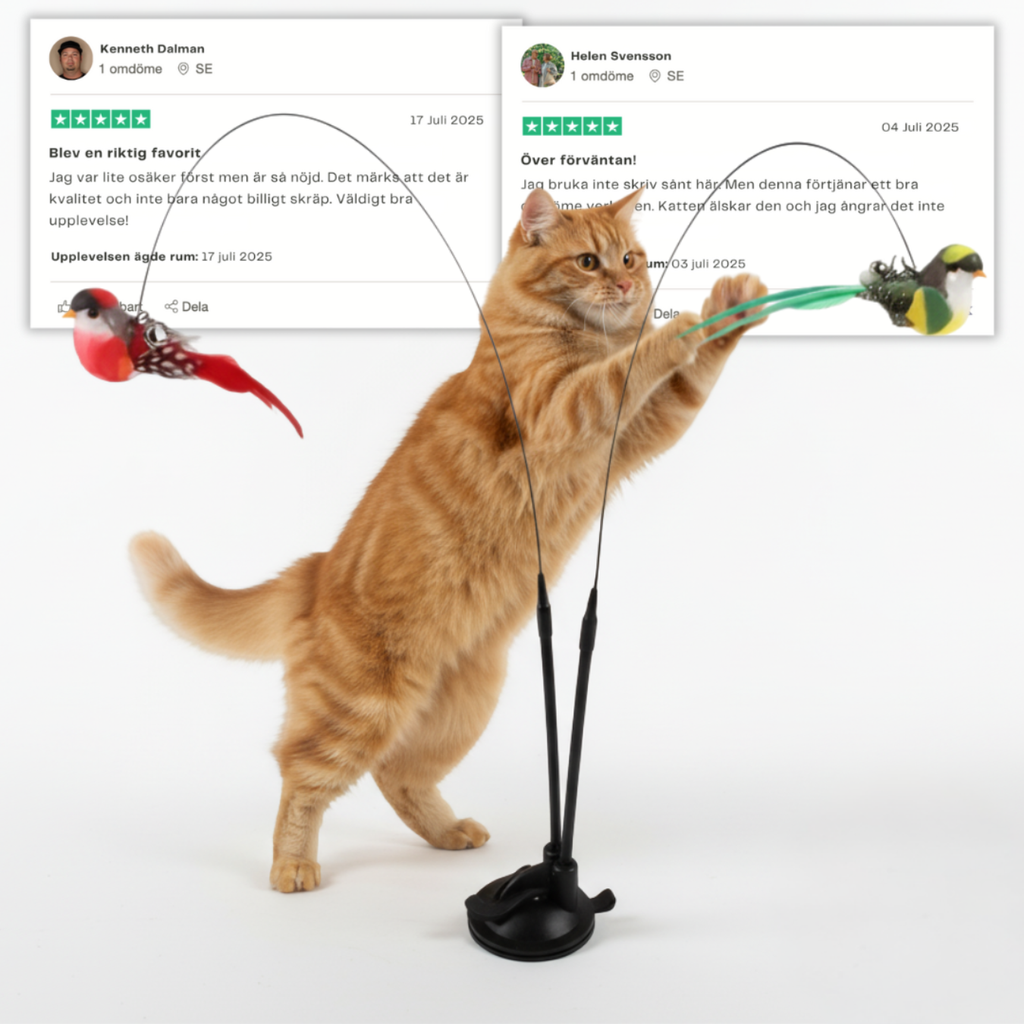 Swiftie jaktleksak för katt