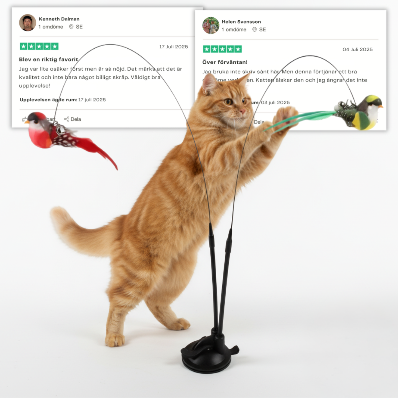 Swiftie jaktleksak för katt