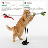 Swiftie™ - Får din katt att känna sig som en jägare igen